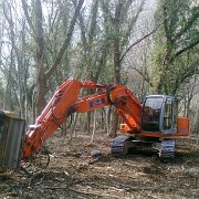 lavori forestali (8)
